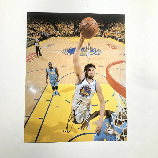 Andrew Bogut signed 11x14 photo PSA/DNA Golden State Warriors Autographed