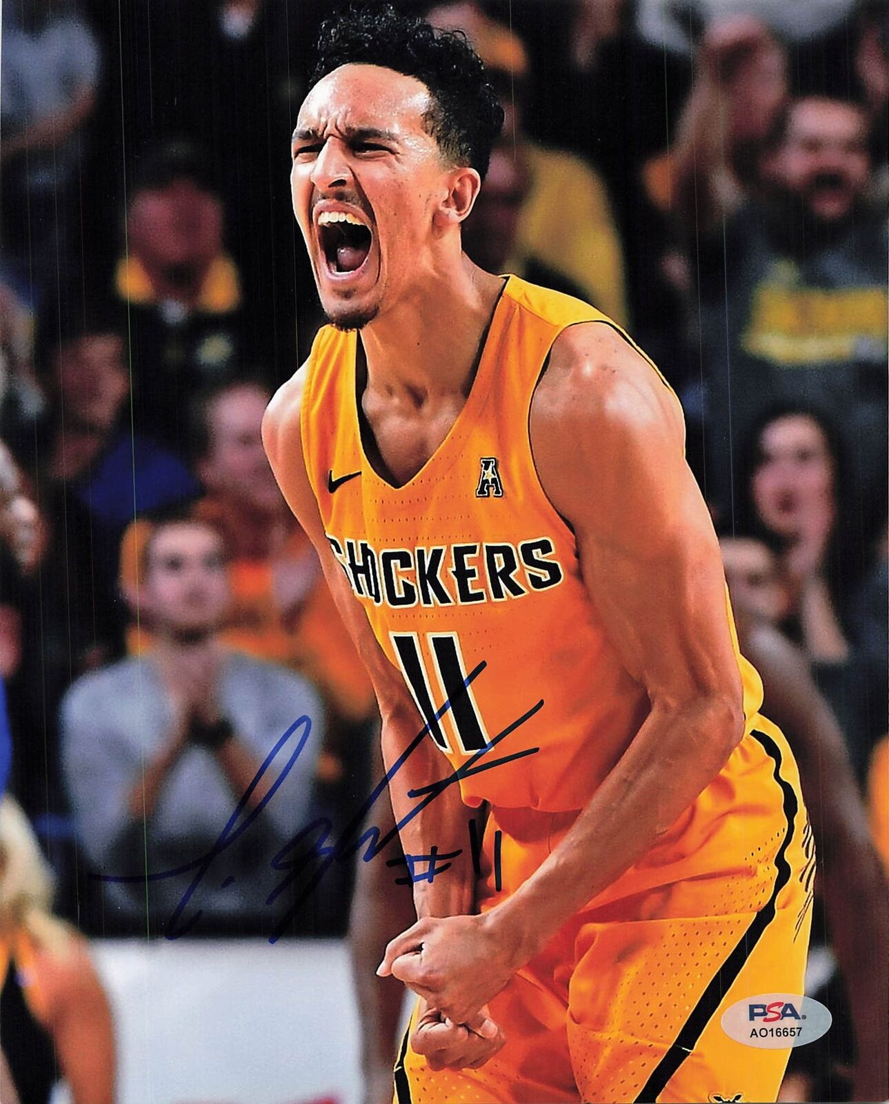 Landry Shamet Signed 8x10 photo PSA/DNA Philadelphia 76ers Autographed