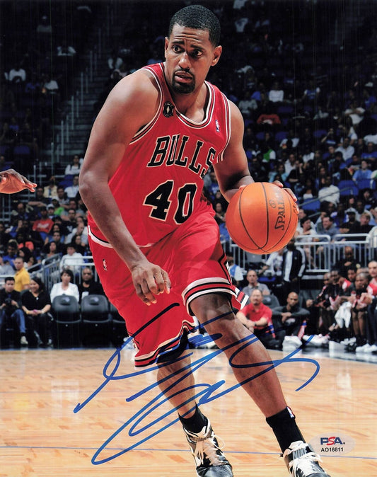 Kurt Thomas Signed 8x10 Photo PSA Bulls Autographed