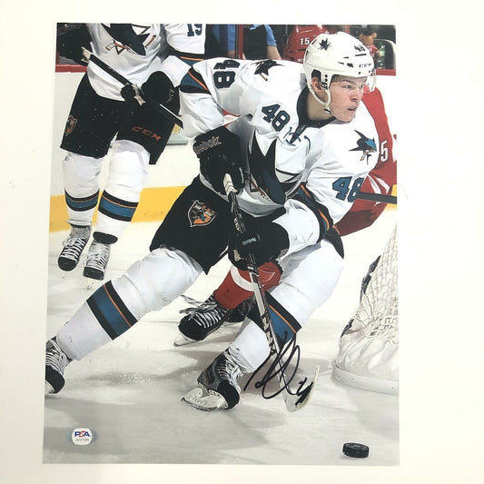 Tomas Hertl signed 11x14 photo PSA/DNA San Jose Sharks Autographed