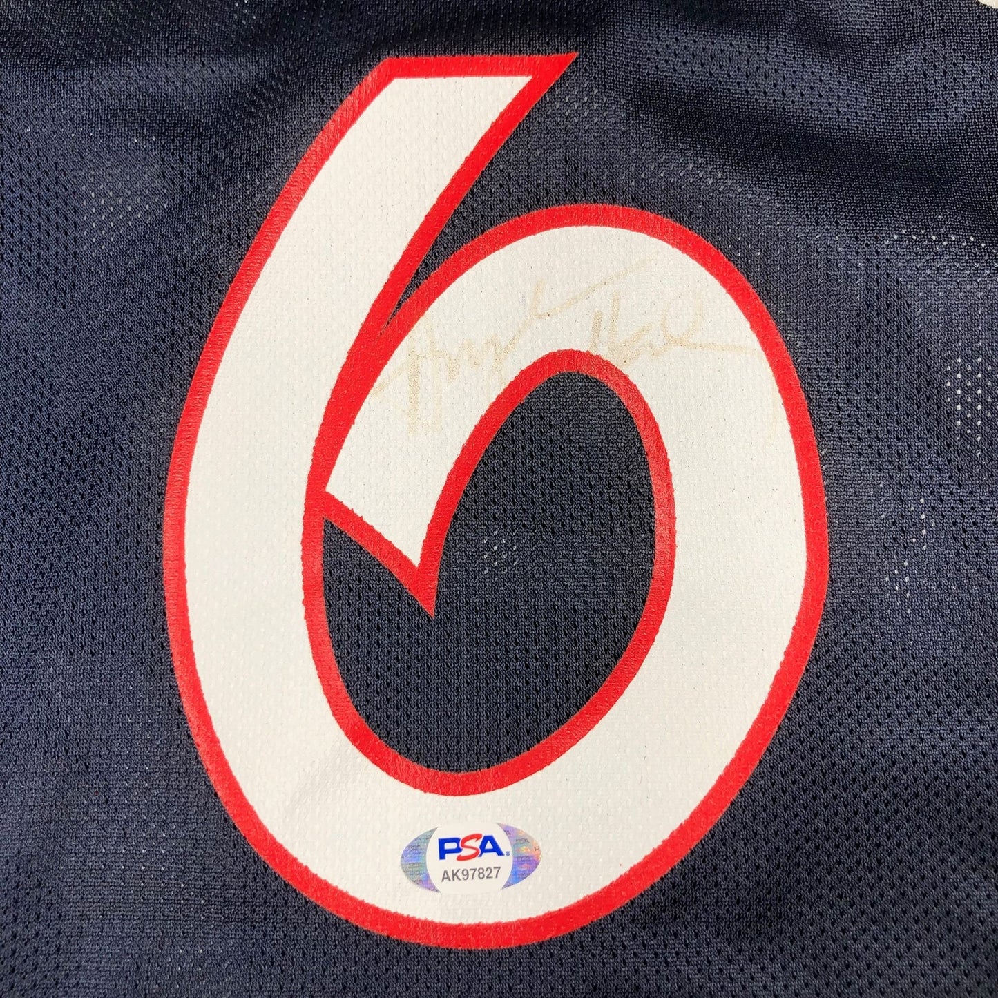 Penny Hardaway signed jersey PSA/DNA Team USA Autographed Anfernee