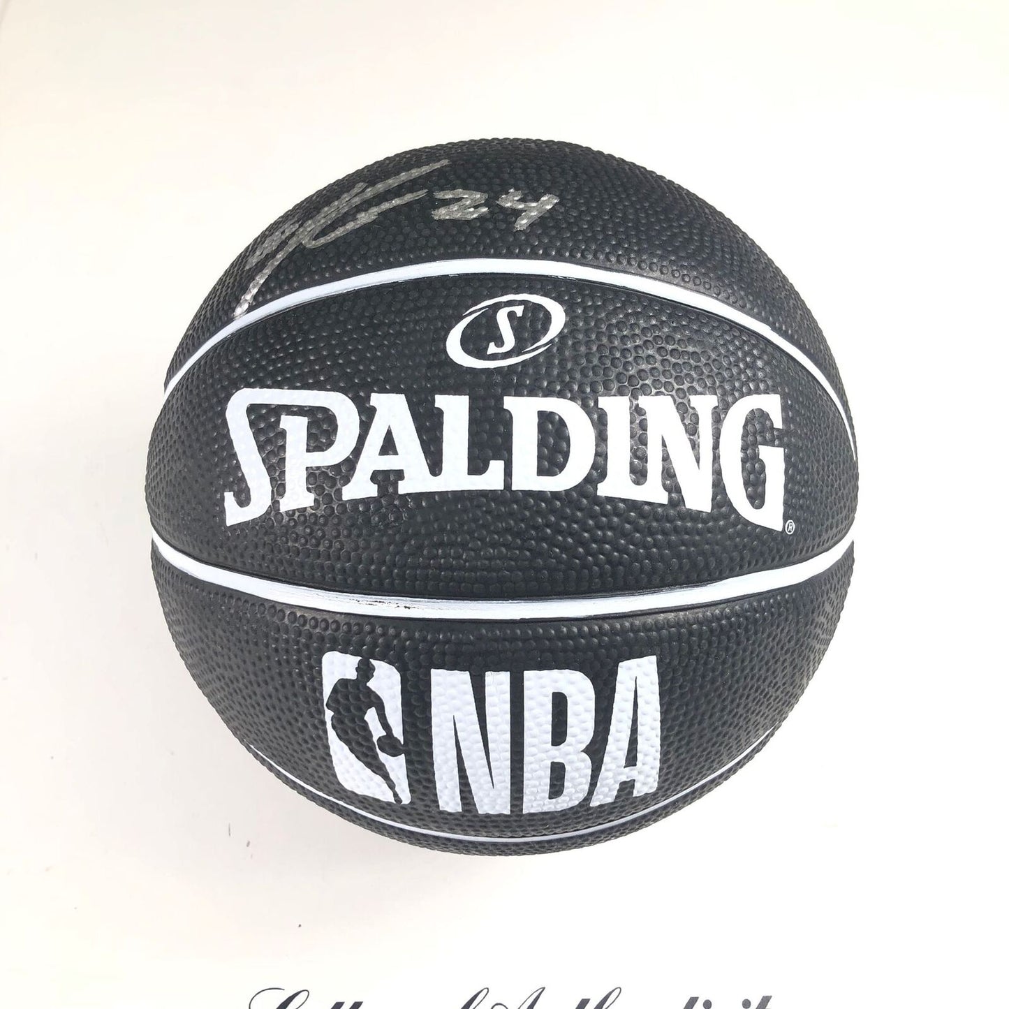 Javonte Green Signed Mini Basketball PSA/DNA LOA Chicago Bulls Autographed