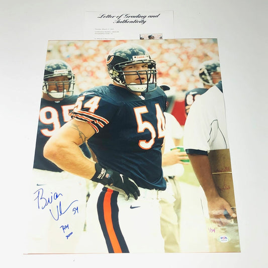 BRIAN URLACHER signed 16x20 photo PSA/DNA AUTO 10 Chicago Bears LOA Autographed