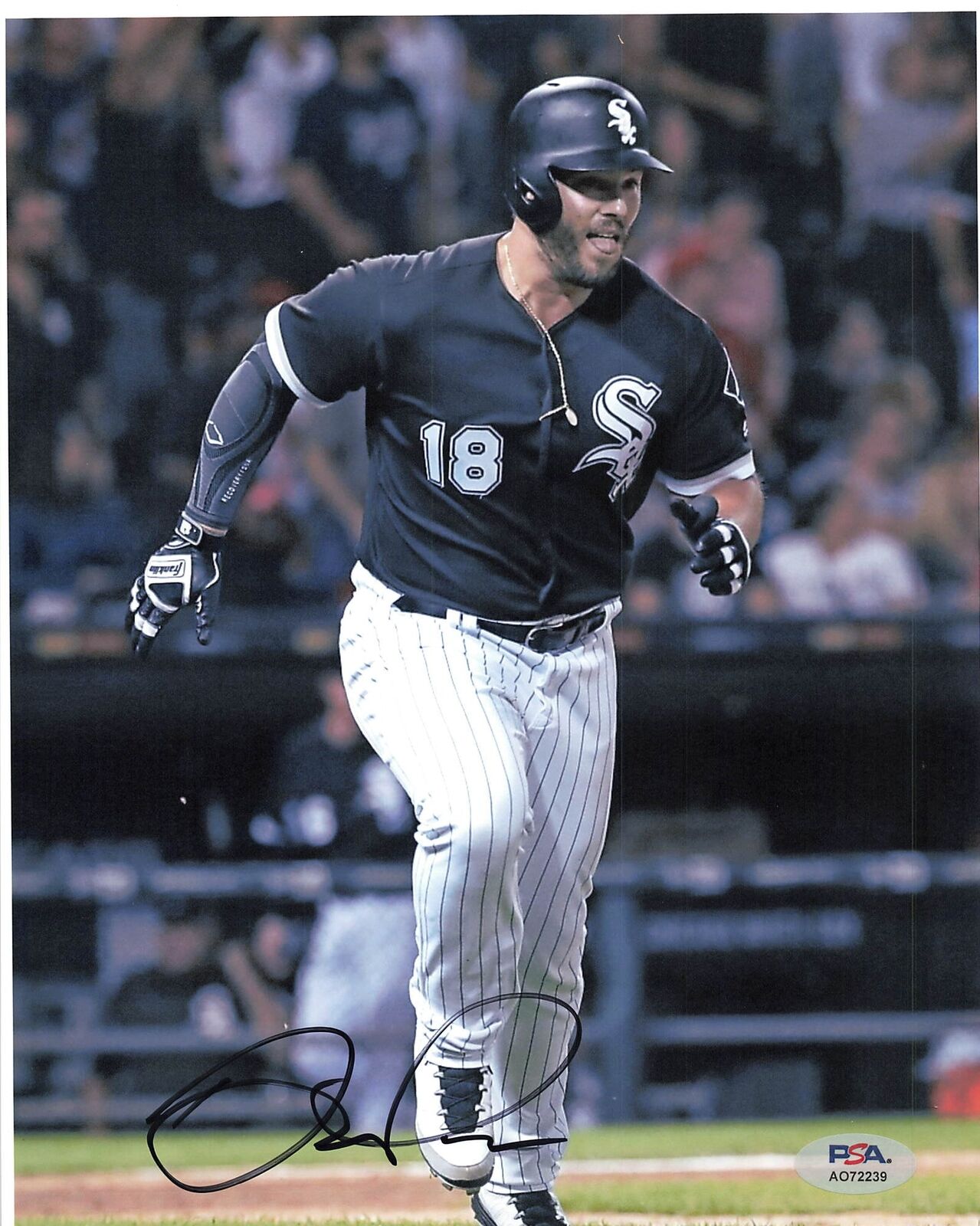 Daniel Palka signed 8x10 photo PSA Autographed White Sox