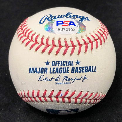 LUIS GARCIA signed baseball PSA/DNA Washington Nationals Full Name autographed