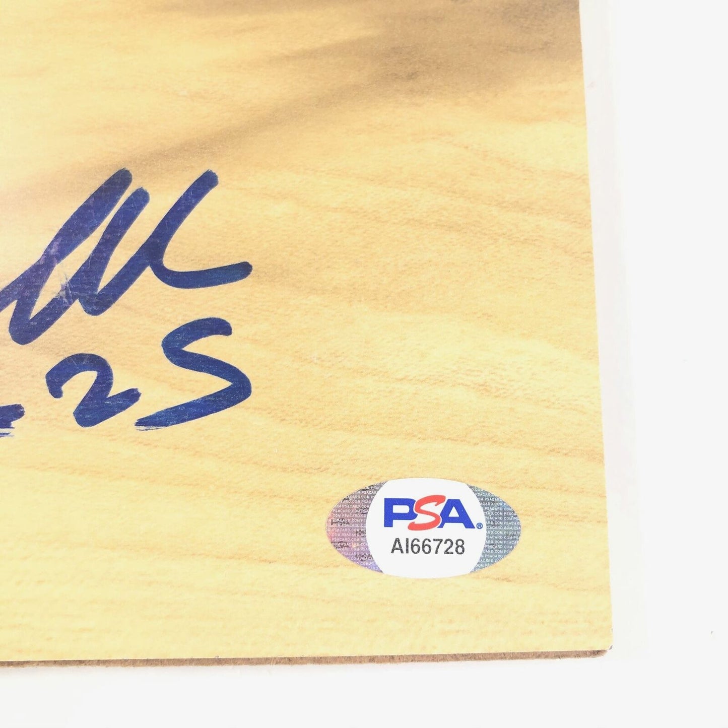 Al Jefferson Signed Floorboard PSA/DNA Autographed Boston Celtics