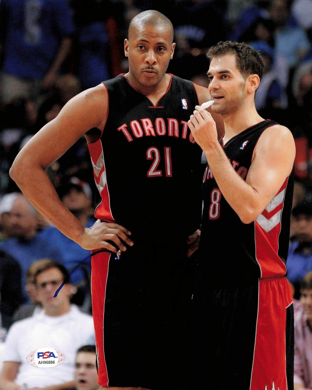 JAMAAL MAGLOIRE Signed 8x10 photo PSA/DNA Toronto Raptors Autographed