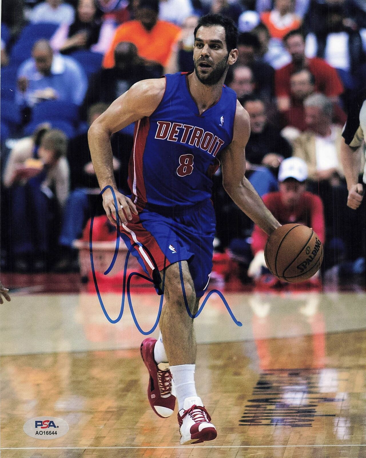 Jose Calderon signed 8x10 photo PSA/DNA Detroit Pistons Autographed