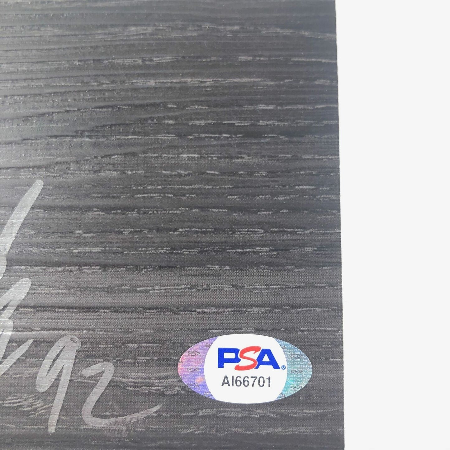 Lucas Nogueira Signed Floorboard PSA/DNA Toronto Raptors Autographed