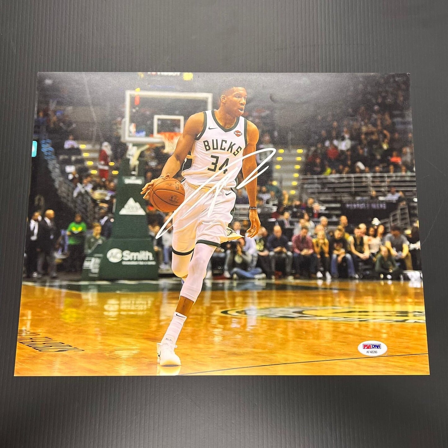 Giannis Antetokounmpo signed 11x14 photo PSA/DNA Milwaukee Bucks Autographed