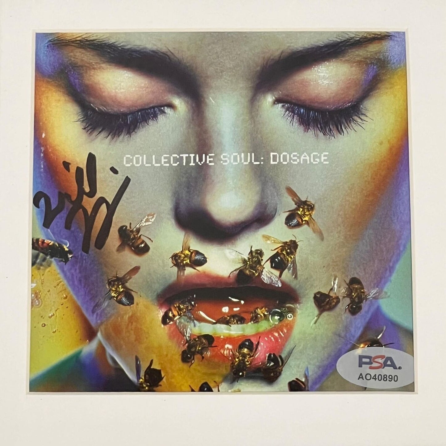 Dosage Signed Collective Soul Album CD Cover Framed PSA/DNA Autographed