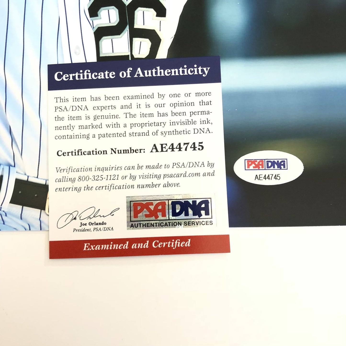 David Dahl signed 8x10 photo PSA/DNA Colorado Rockies Autographed