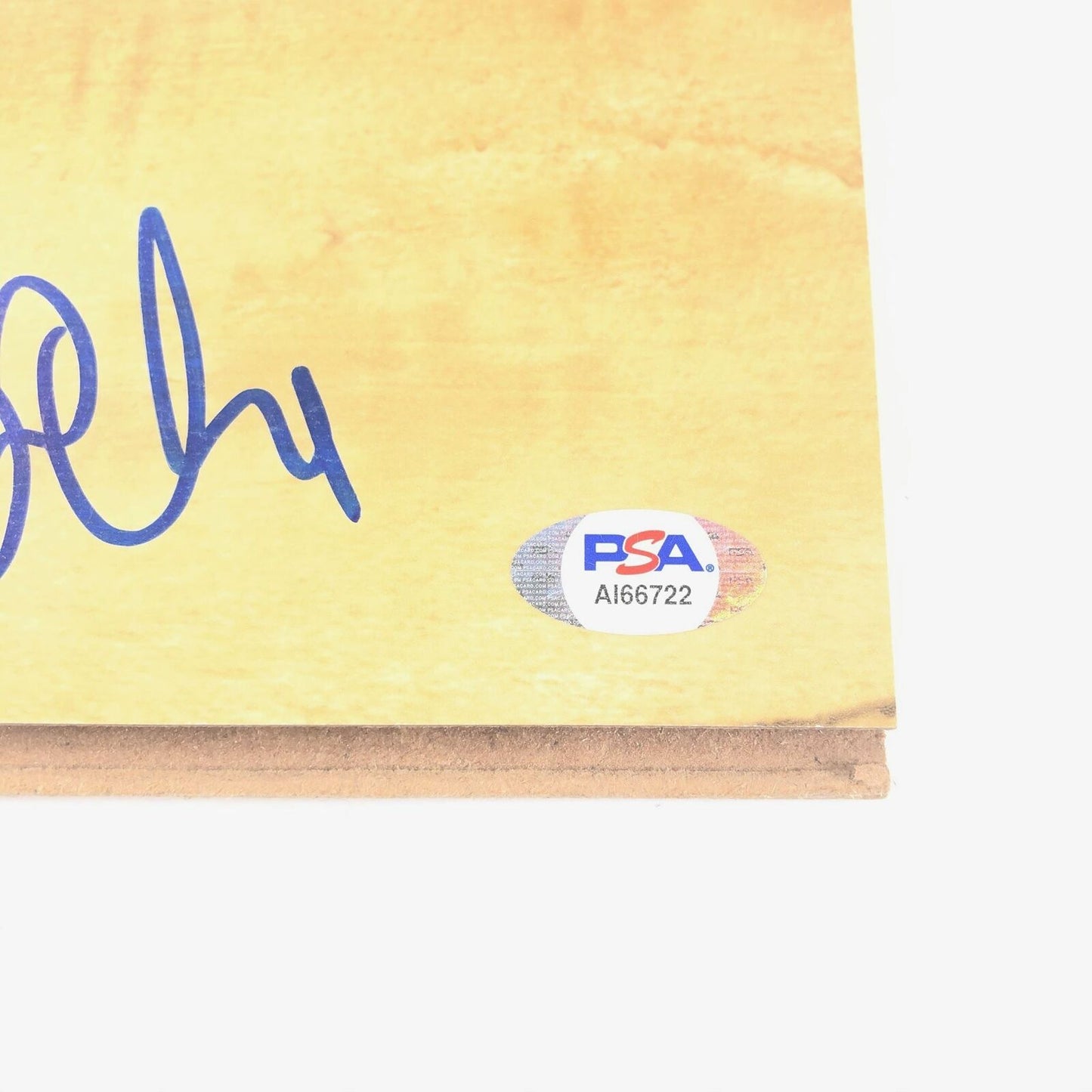 Wilson Chandler Signed Floorboard PSA/DNA Autographed