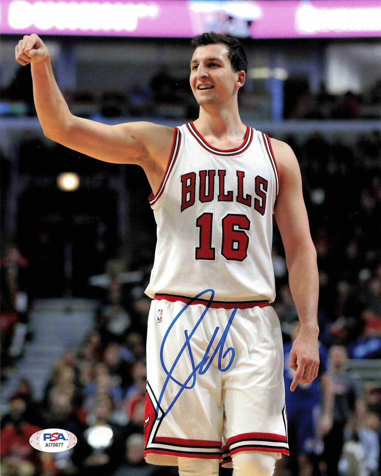 PAUL ZIPSER signed 8x10 photo PSA/DNA Chicago Bulls Autographed