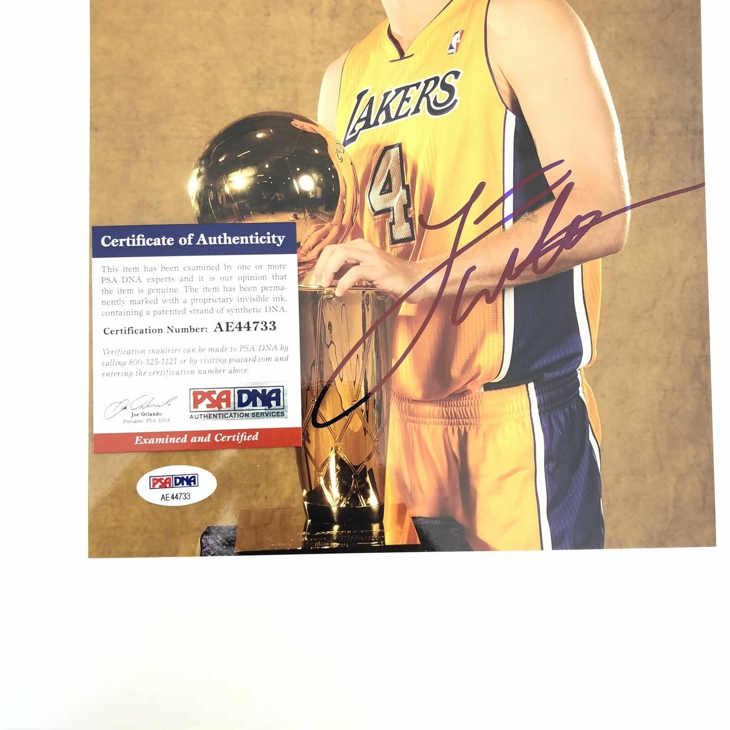 Luke Walton signed 8x10 photo PSA/DNA Los Angeles Lakers Autographed