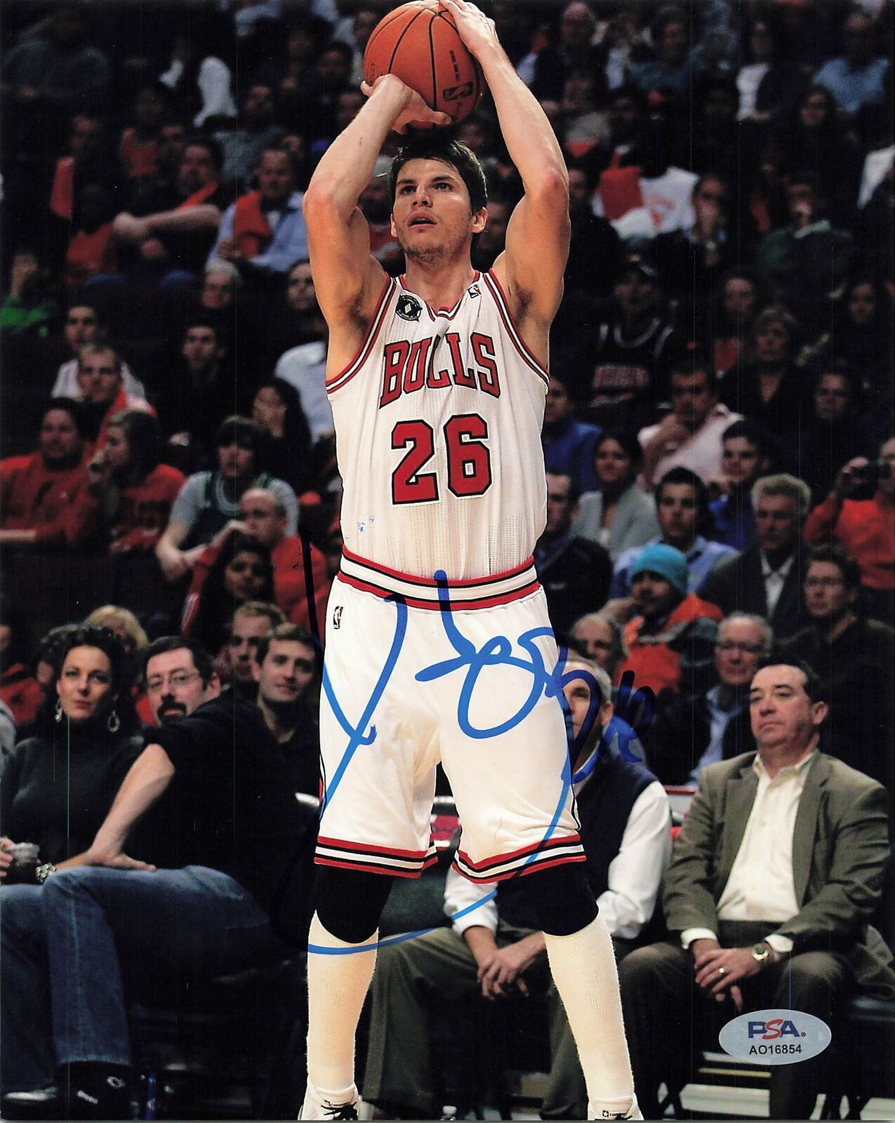 Kyle Korver signed 8x10 photo PSA/DNA Chicago Bulls Autographed