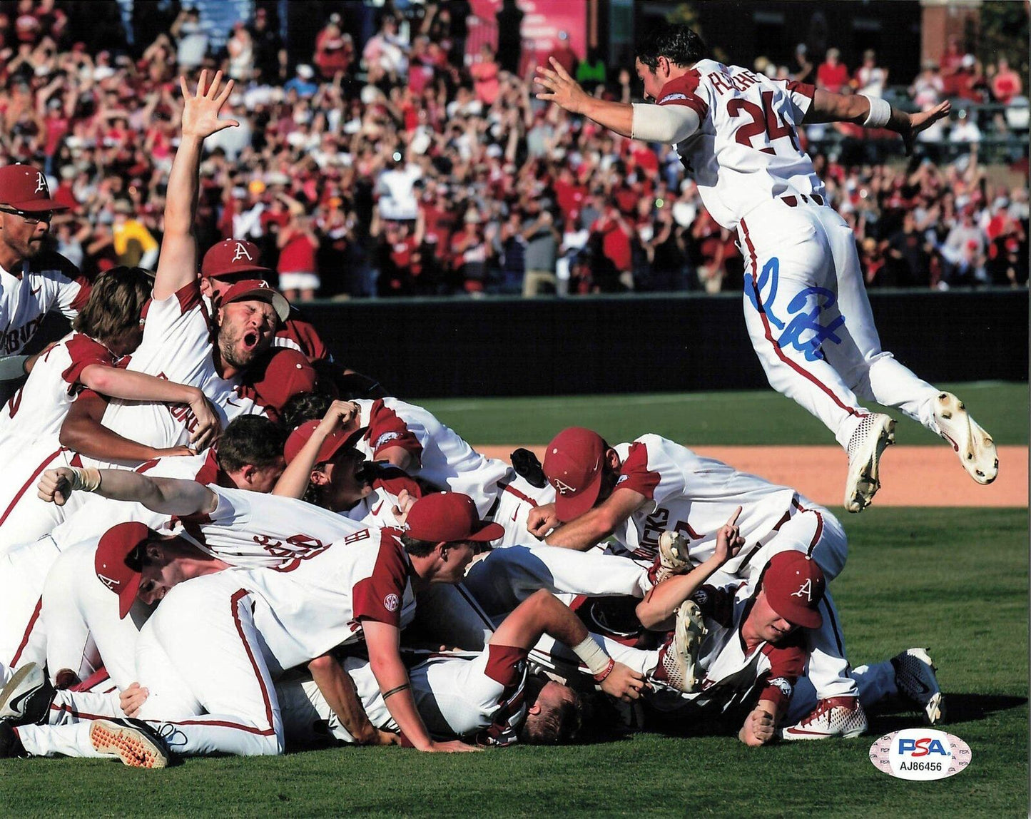 DOMINIC FLETCHER signed 8x10 photo PSA/DNA Arizona Diamondbacks Autographed