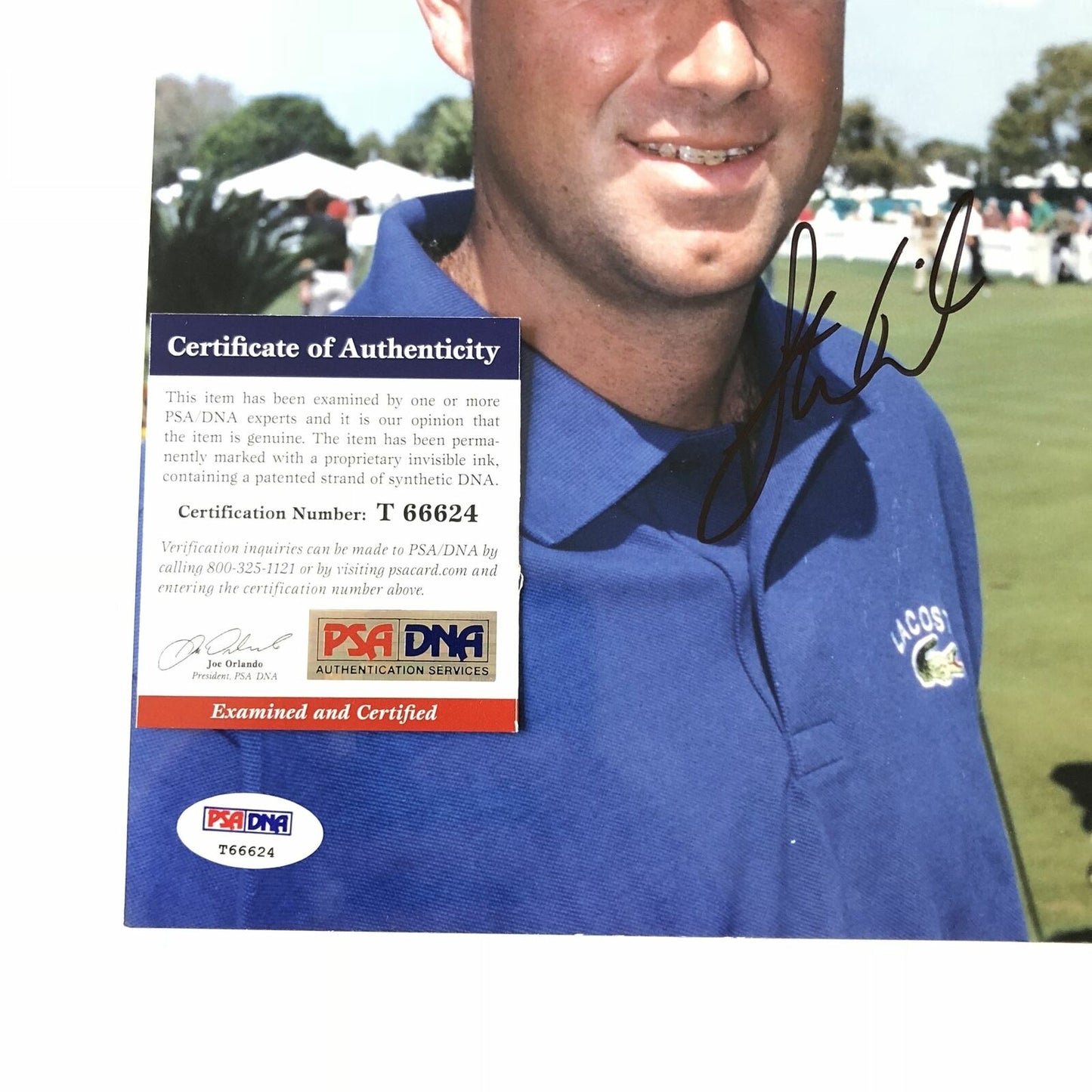 Stewart Cink signed 8x10 photo PSA/DNA Autographed