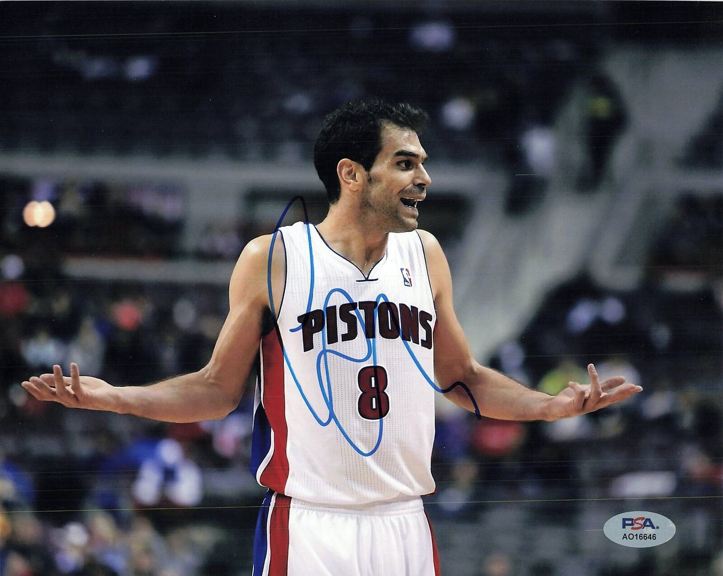 Jose Calderon signed 8x10 photo PSA/DNA Detroit Pistons Autographed