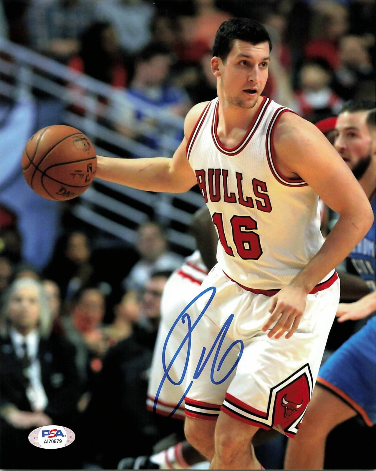 PAUL ZIPSER signed 8x10 photo PSA/DNA Chicago Bulls Autographed