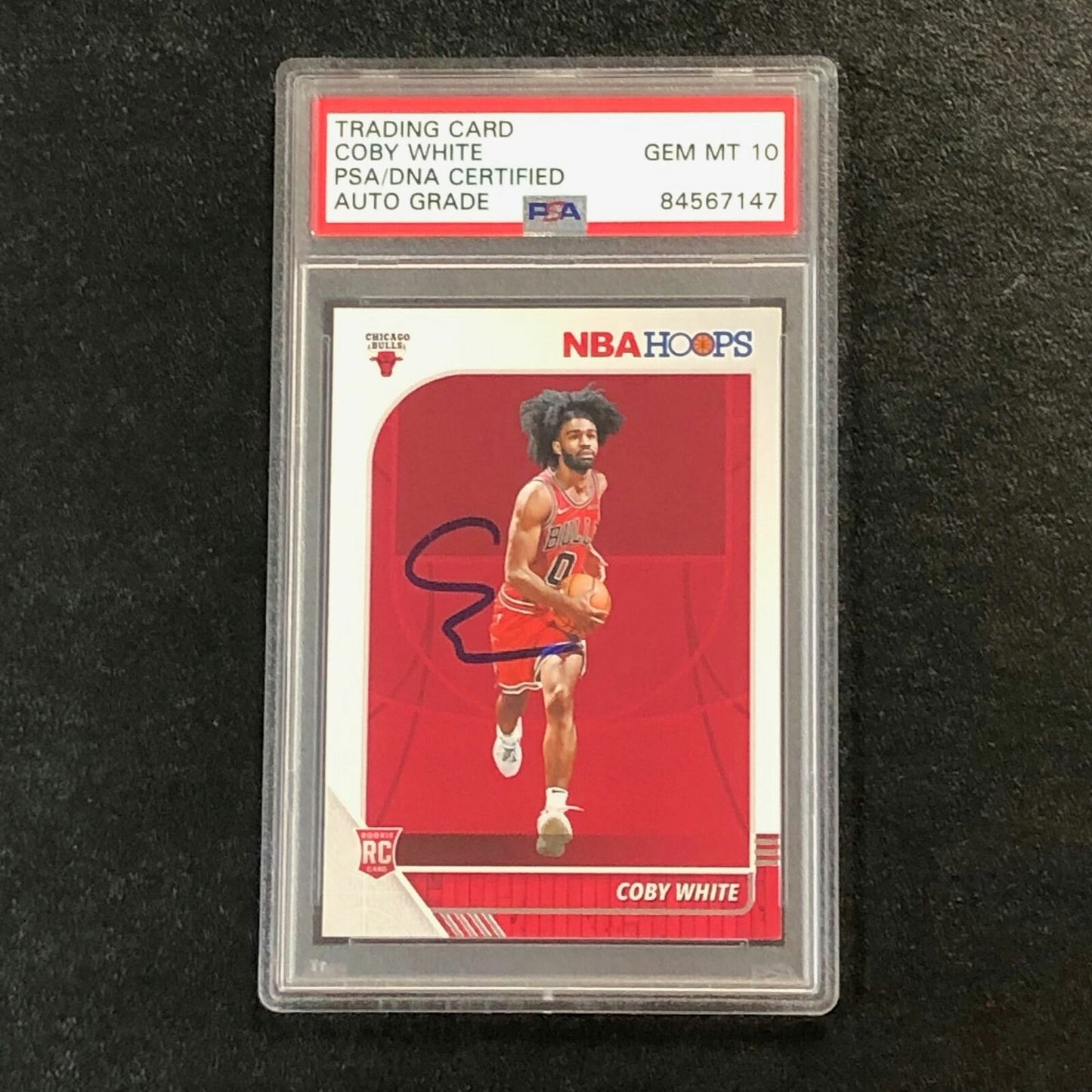 2019-20 NBA Hoops #204 Coby White Signed Card AUTO 10 PSA Slabbed RC Bulls