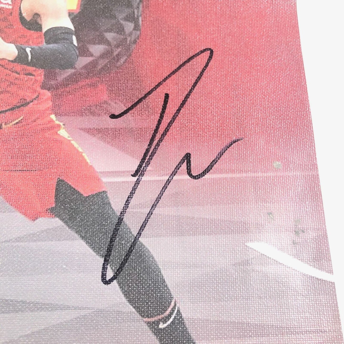 Trae Young signed 16x20 canvas PSA/DNA Atlanta Hawks Autographed