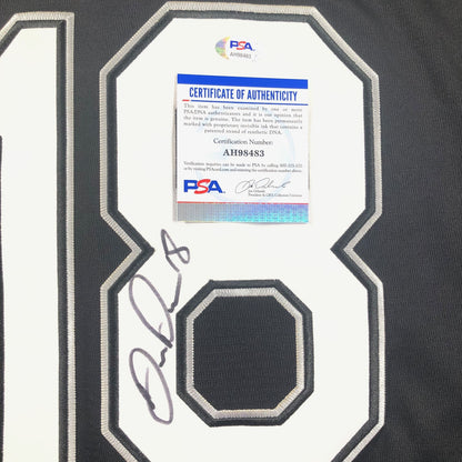 Daniel Palka signed jersey PSA/DNA Chicago White Sox Autographed