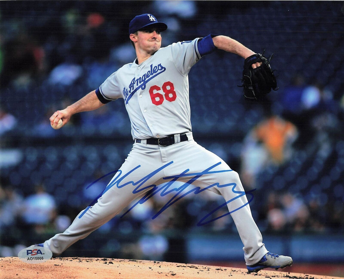 Ross Stripling signed 8x10 photo PSA/DNA Los Angeles Dodgers Autographed