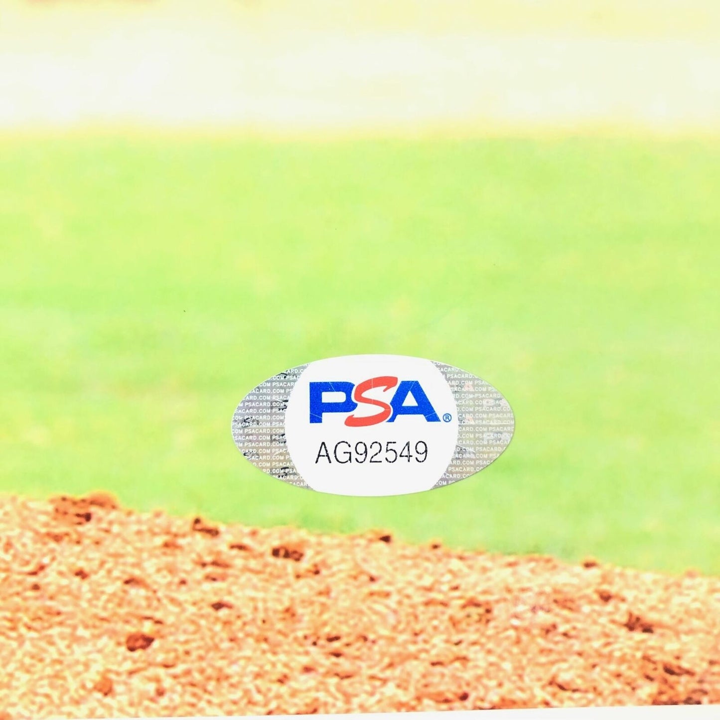 Reynaldo Lopez signed 11x14 photo PSA/DNA Chicago White Sox Autographed