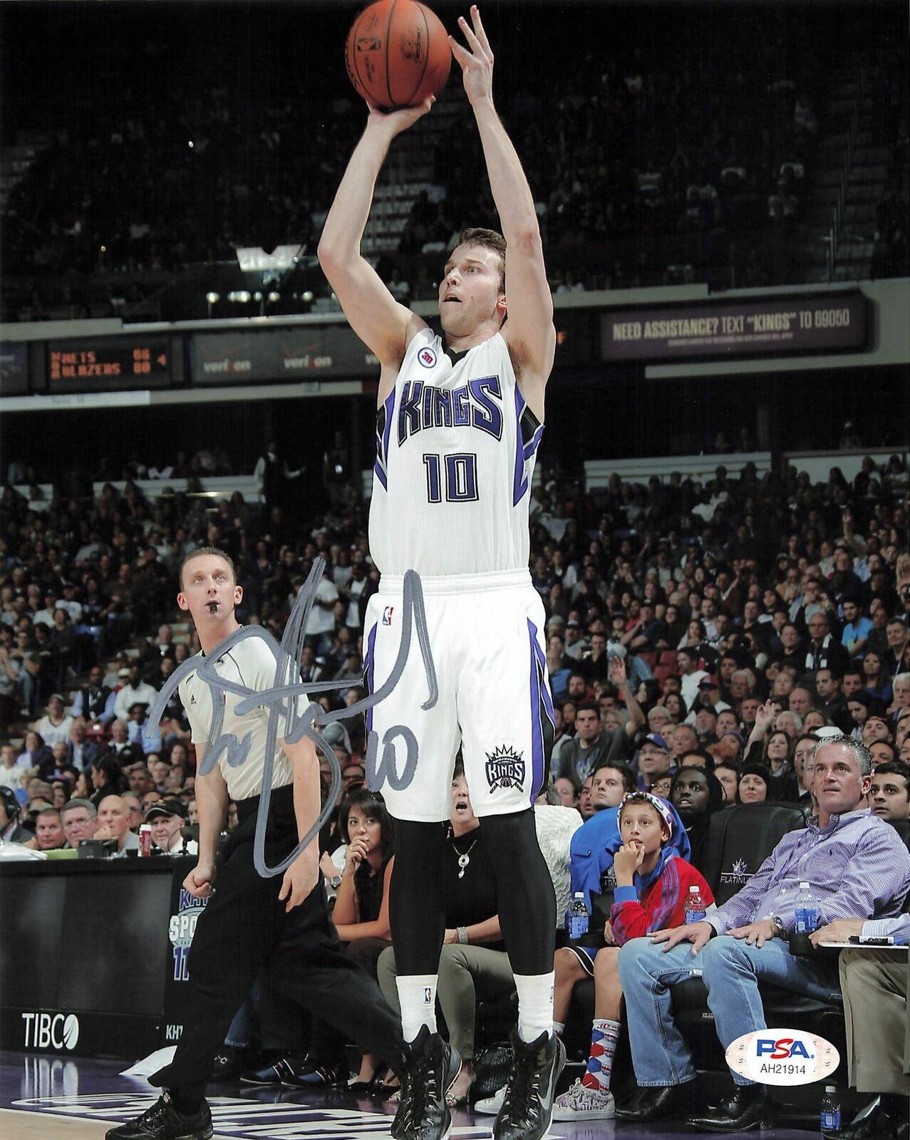 Nik Stauskas signed 8x10 photo PSA/DNA Sacramento Kings Autographed