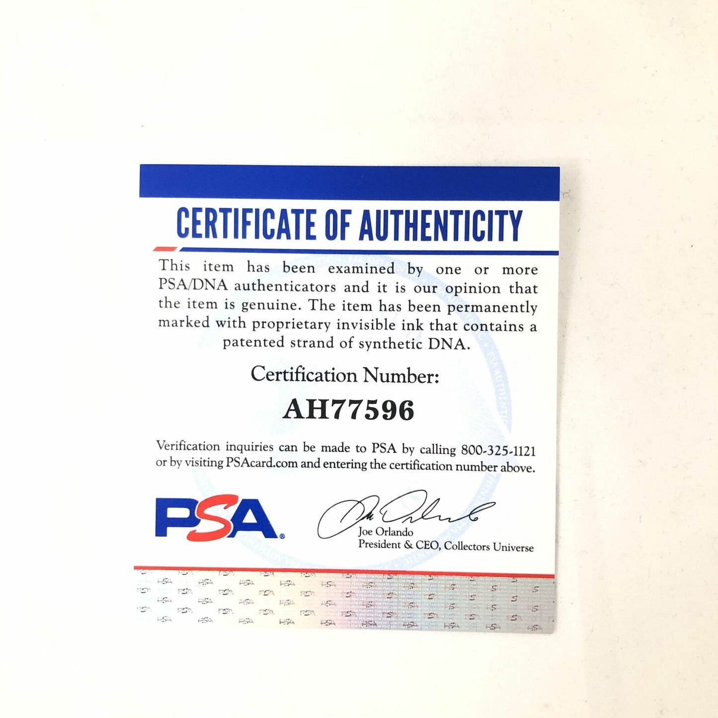 Elizabeth Warren signed mini helmet PSA/DNA Politician autographed