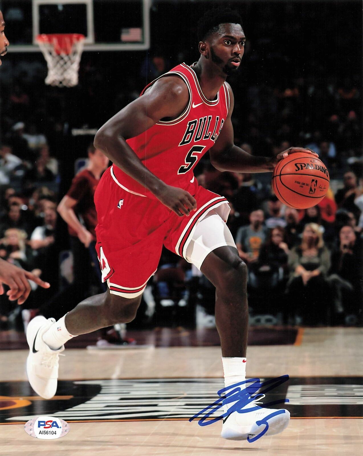 Bobby Portis signed 8x10 photo PSA/DNA Chicago Bulls Autographed