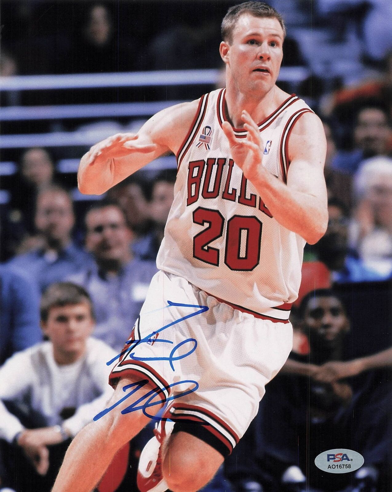 Fred Hoiberg signed 8x10 photo PSA/DNA of the Chicago Bulls Autographed