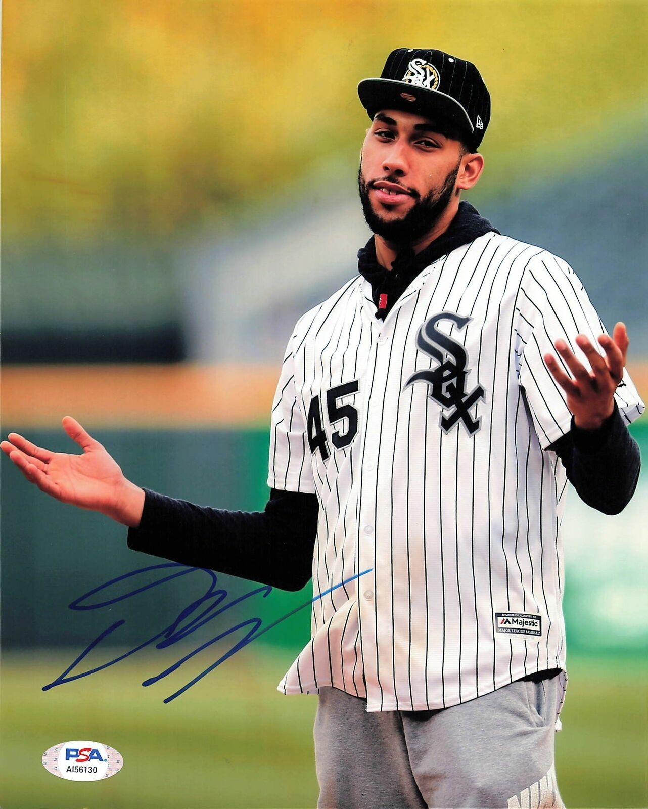 Denzel Valentine signed 8x10 photo PSA/DNA Chicago Bulls Autographed