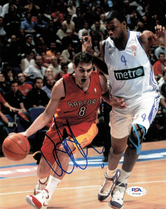 Jose Calderon signed 8x10 photo PSA/DNA Toronto Raptors Autographed