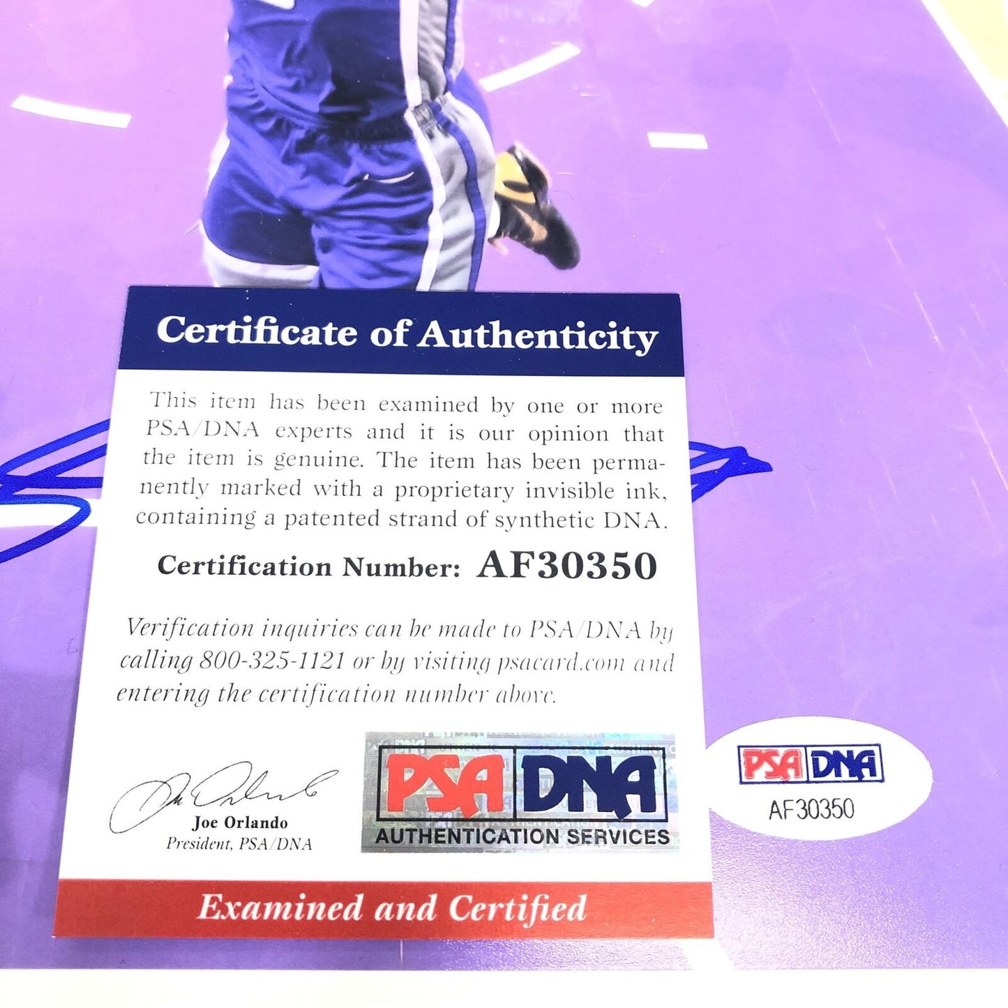 De'Aaron Fox Signed 8x10 photo PSA/DNA Sacramento Kings Autographed