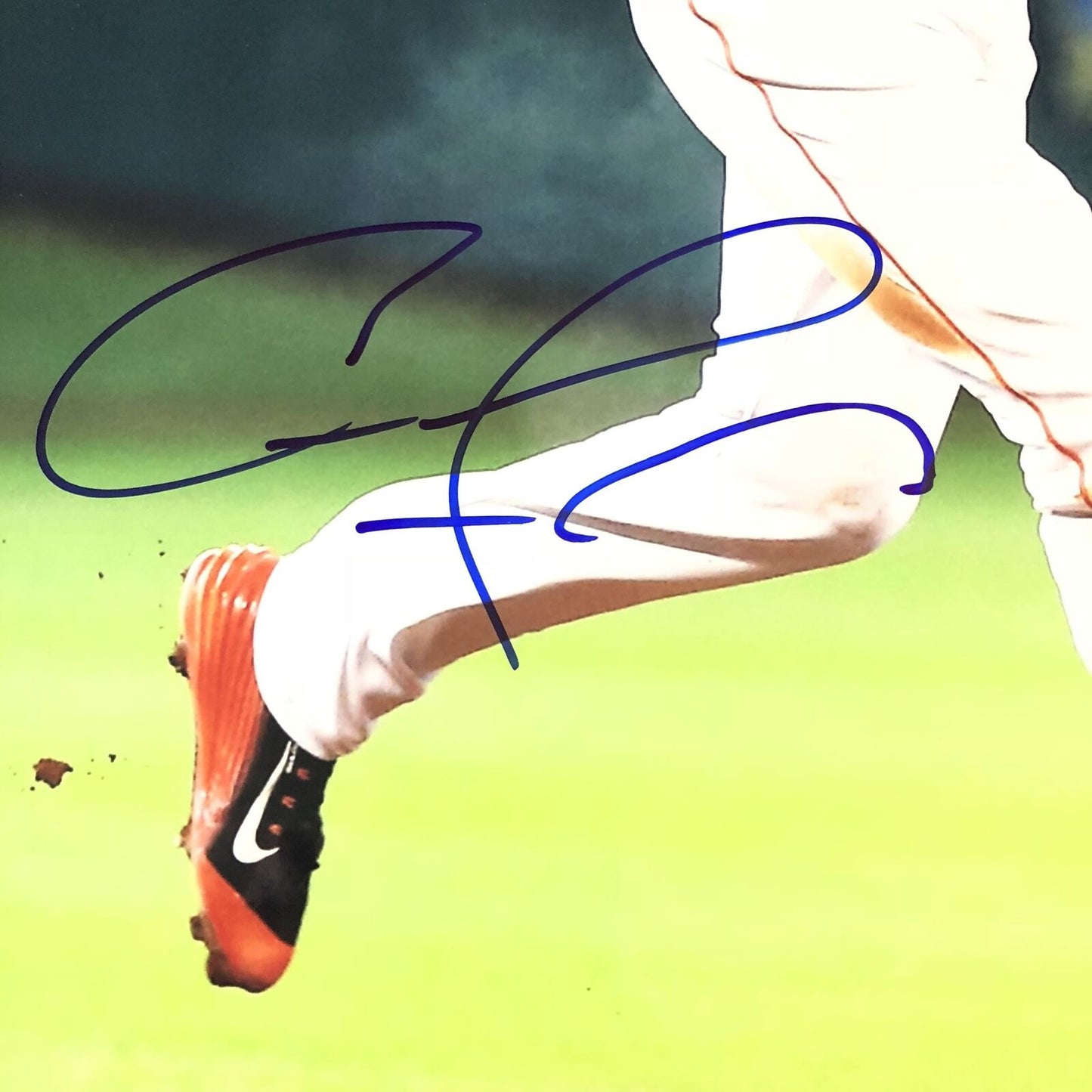 Carlos Correa signed 16x20 photo PSA/DNA Houston Astros Autographed