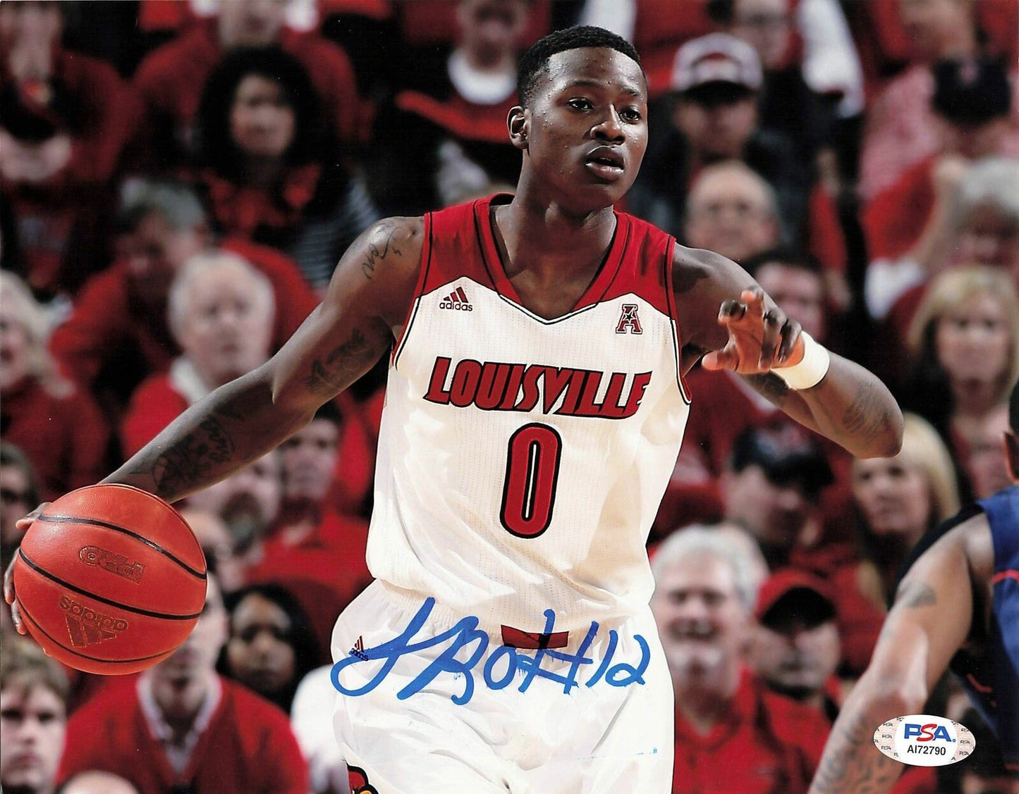 Terry Rozier signed 8x10 photo PSA/DNA Louisville Boston Celtics Autographed