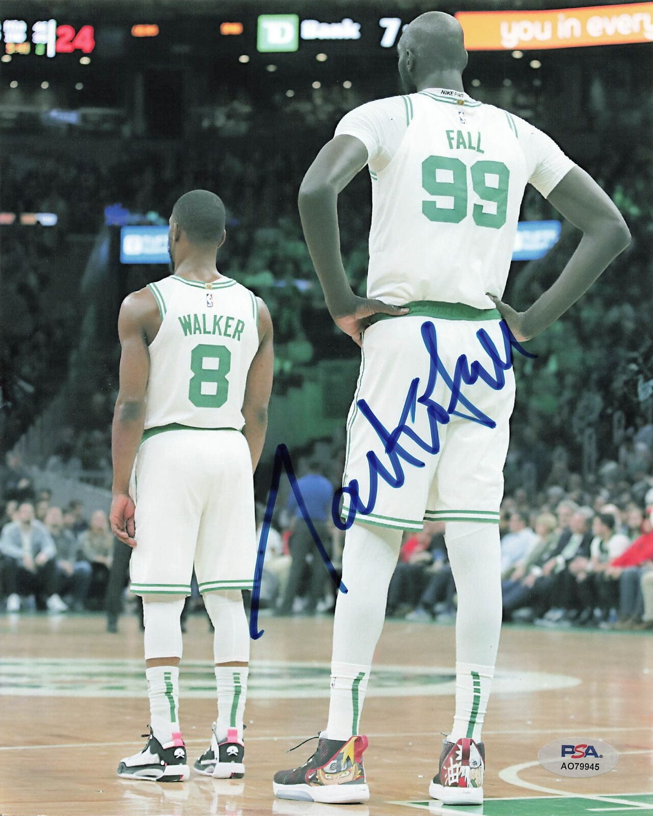 Tacko Fall signed 8x10 photo PSA/DNA Boston Celtics Autographed