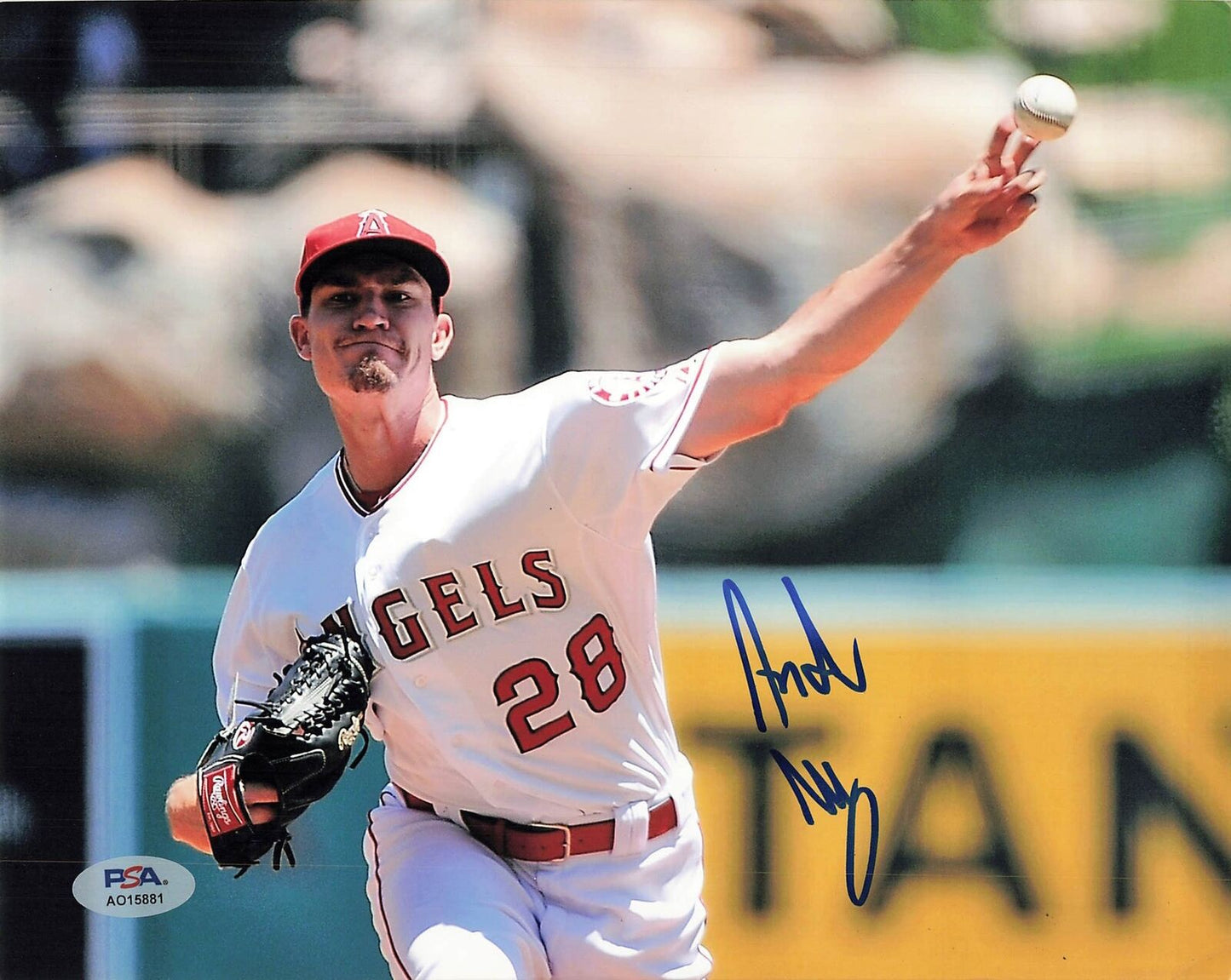 ANDREW HEANEY signed 8x10 photo PSA/DNA Los Angeles Angels Autographed